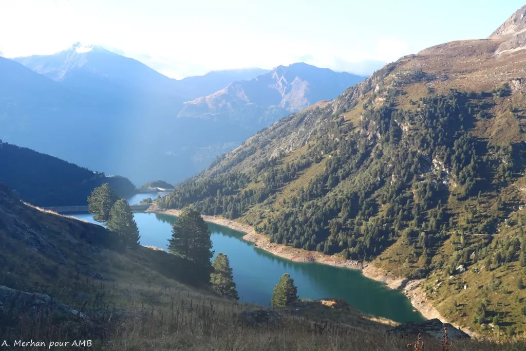 media-libraryi72kt7tpthmd72swf1E