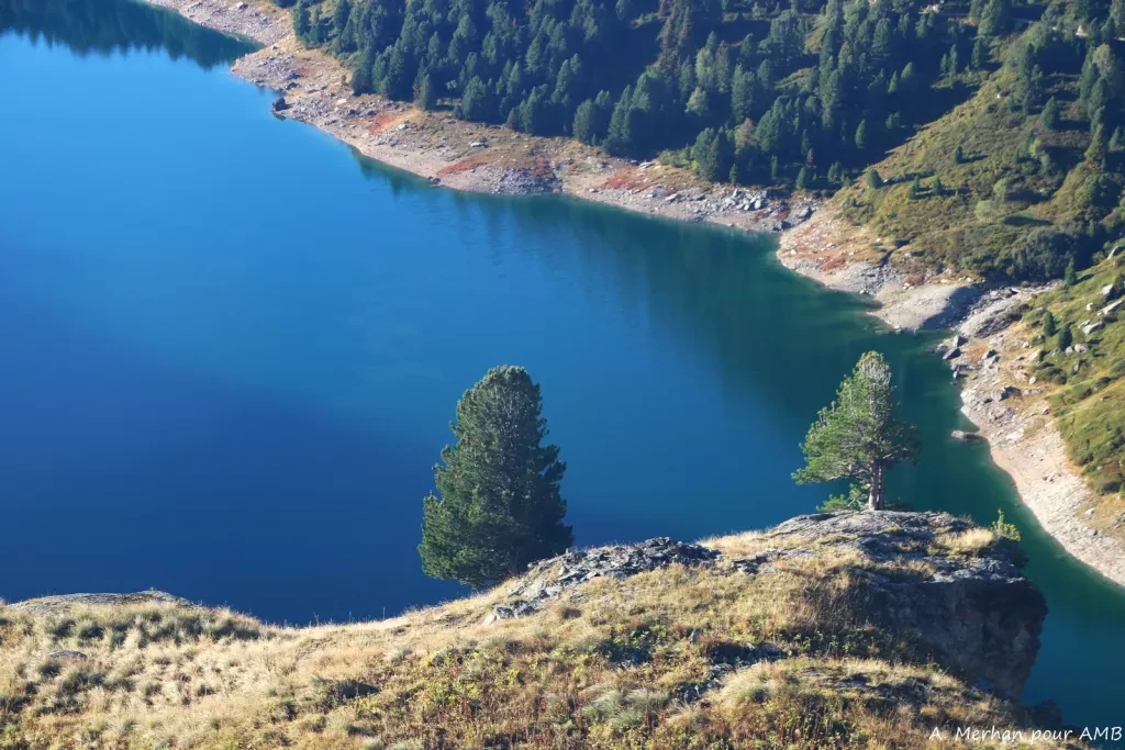 media-libraryp844muodp0b0b9Y3KUB