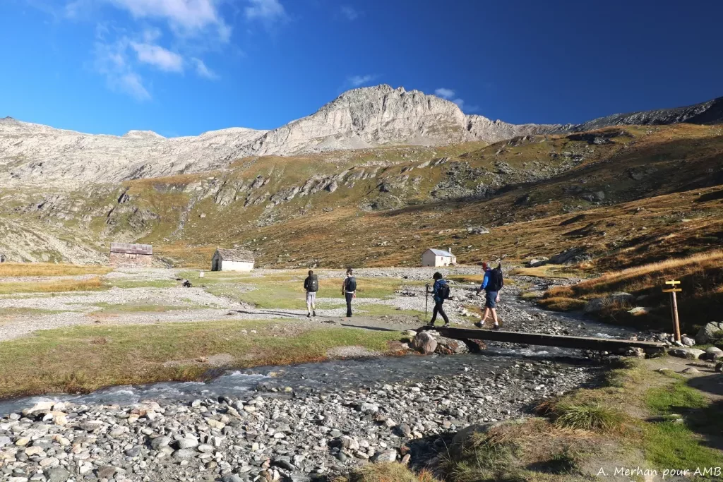 media-libraryrbpp6f6lpjdr7JRu6XE