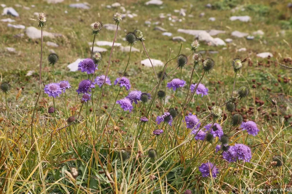 media-library5j85t53bj81q3coUcMD