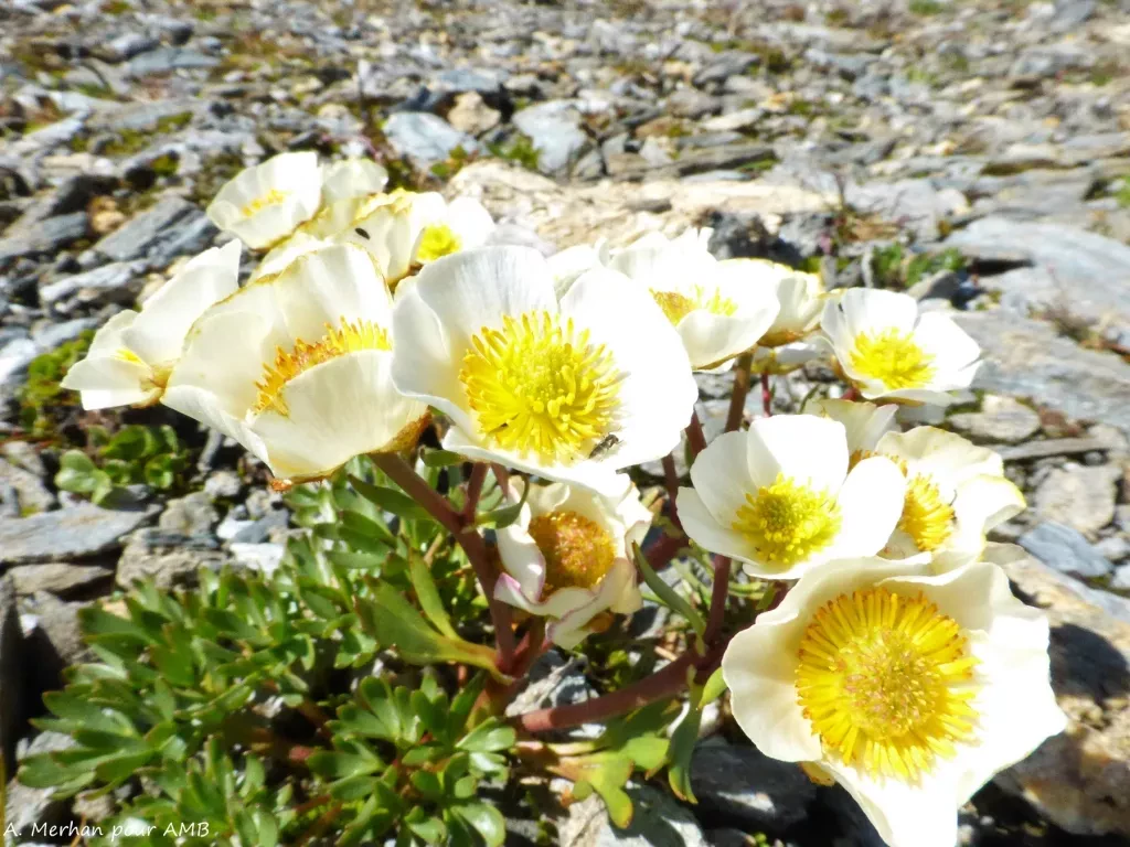 media-libraryetjsesk1tegq6A3DgbF