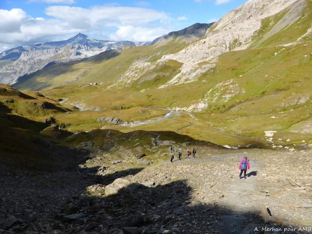 media-librarythco1v6tu35jeObC4KF