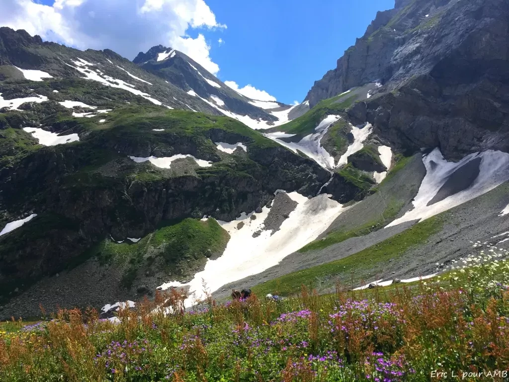 media-librarysda4qfuam21r8fqfghD