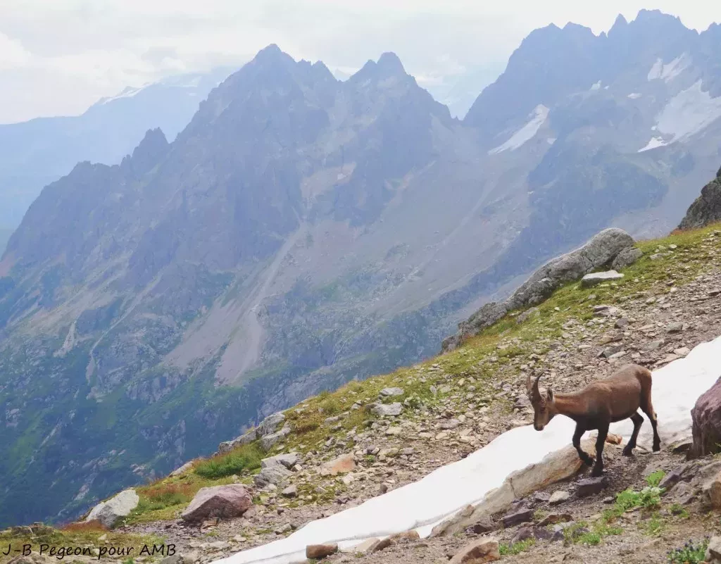 media-library8aqur0g0sdc3cUaJi0D