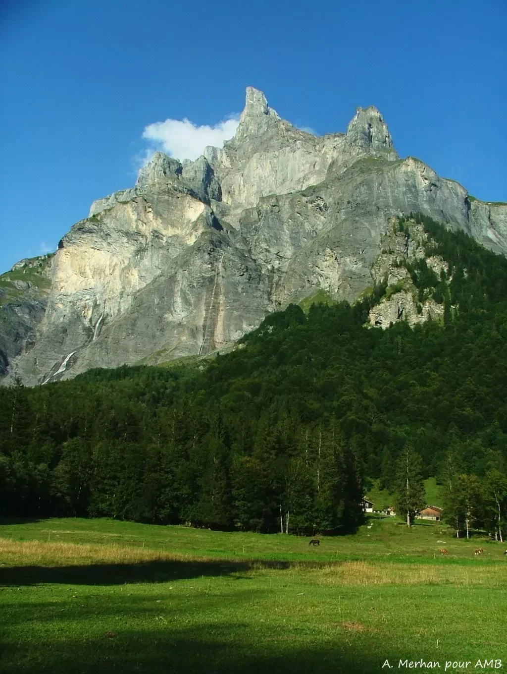 media-libraryj8j5avf07v0bdwDIeuE