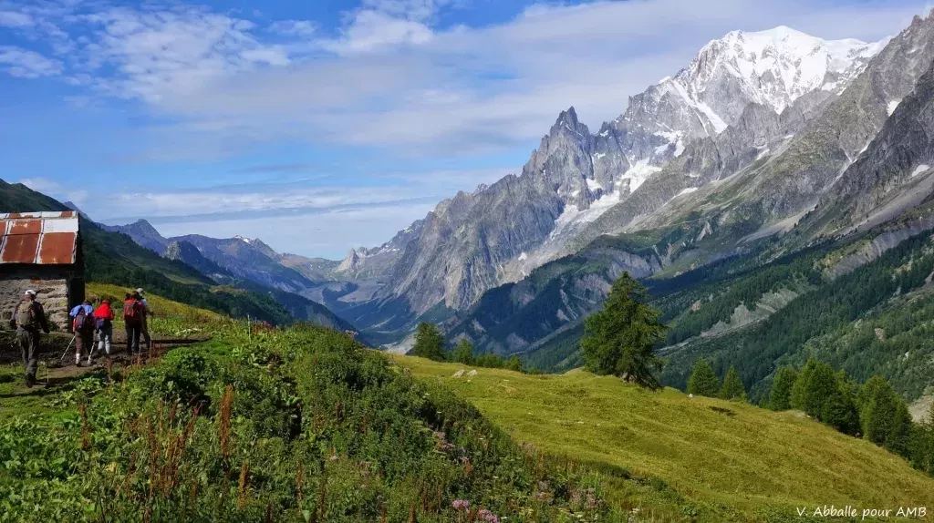 media-libraryu5si5pdvop4afn7ohwB