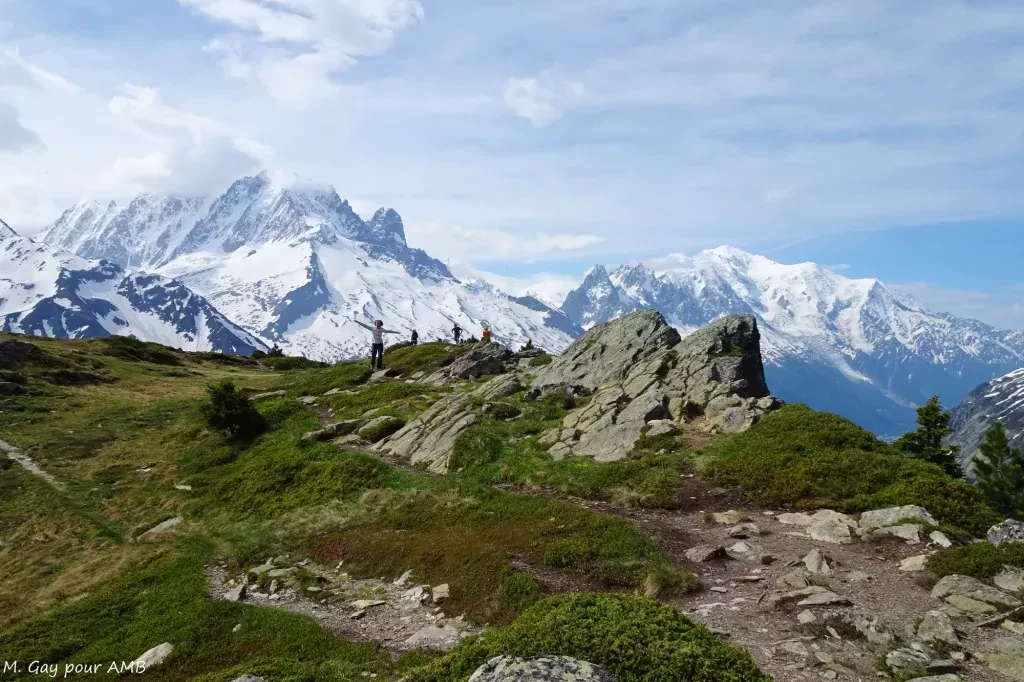 media-library48uivftc7e6jarz6uSC