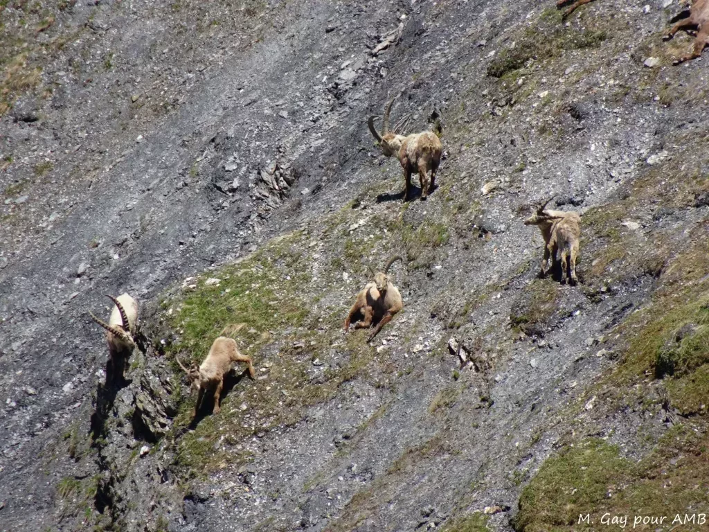 media-library74kuqbgenb4o6DbyRPF