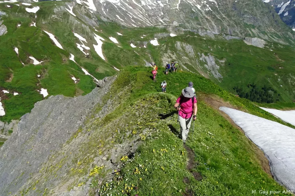 media-libraryq3pu5lpg8eik90WyNoC