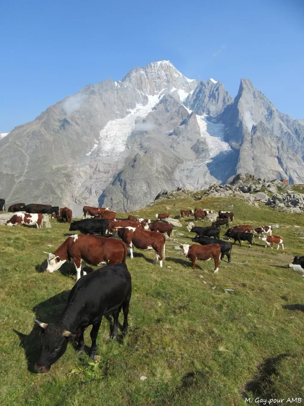 media-libraryehb01v72n3g86jmAedE