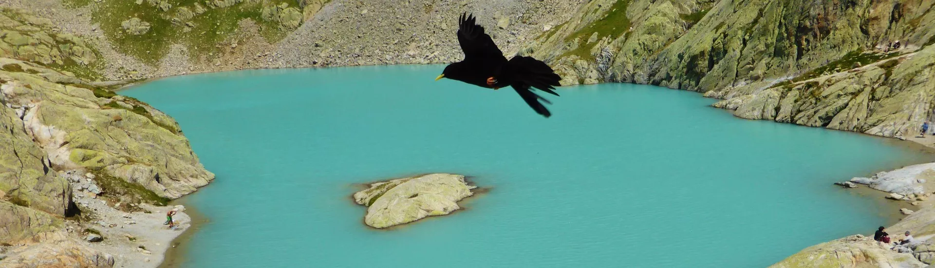 TOUR DU MONT BLANC Intégral en Liberté