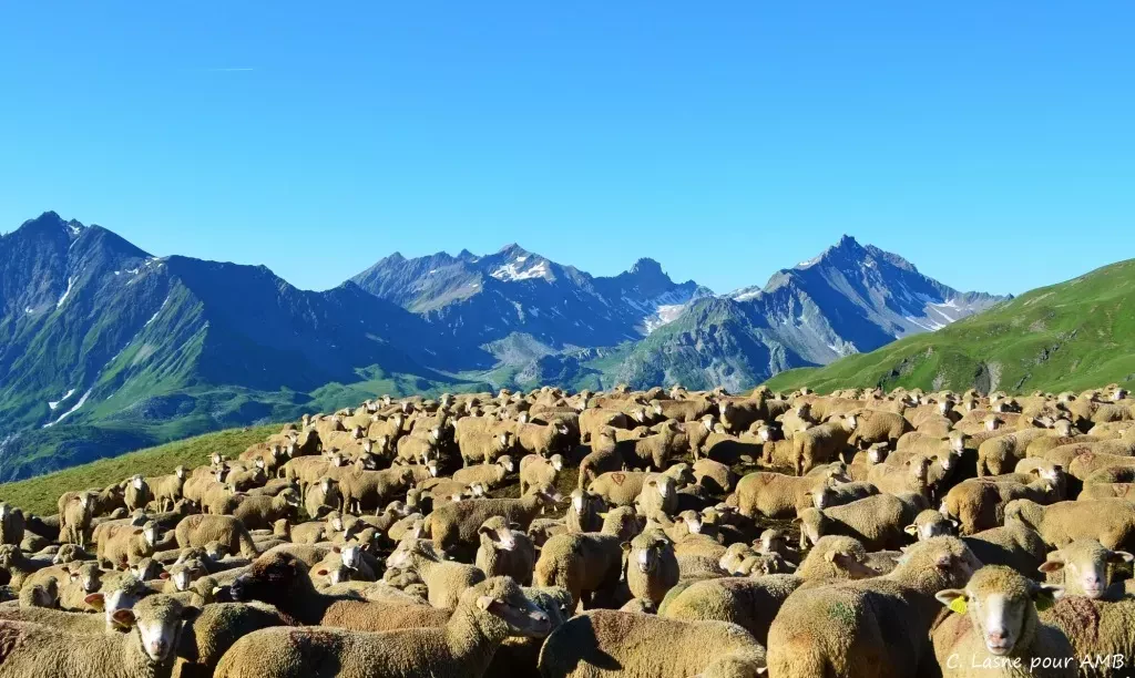 media-libraryq54br90qiimr78Hvj3C