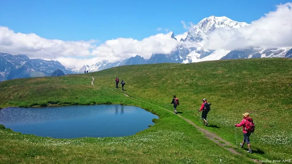 media-library7ttbdaand07h8GFNHGD