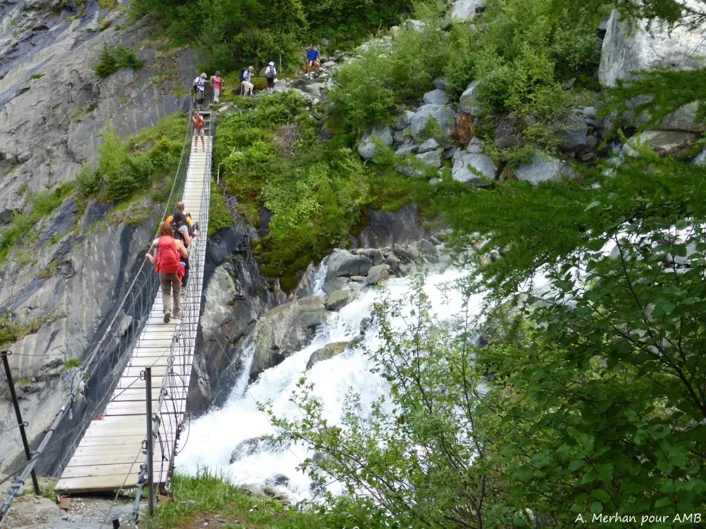 media-libraryf4d74srlqrcr8CU7oOF