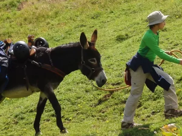 ENTRE LÉMAN ET MONT BLANC