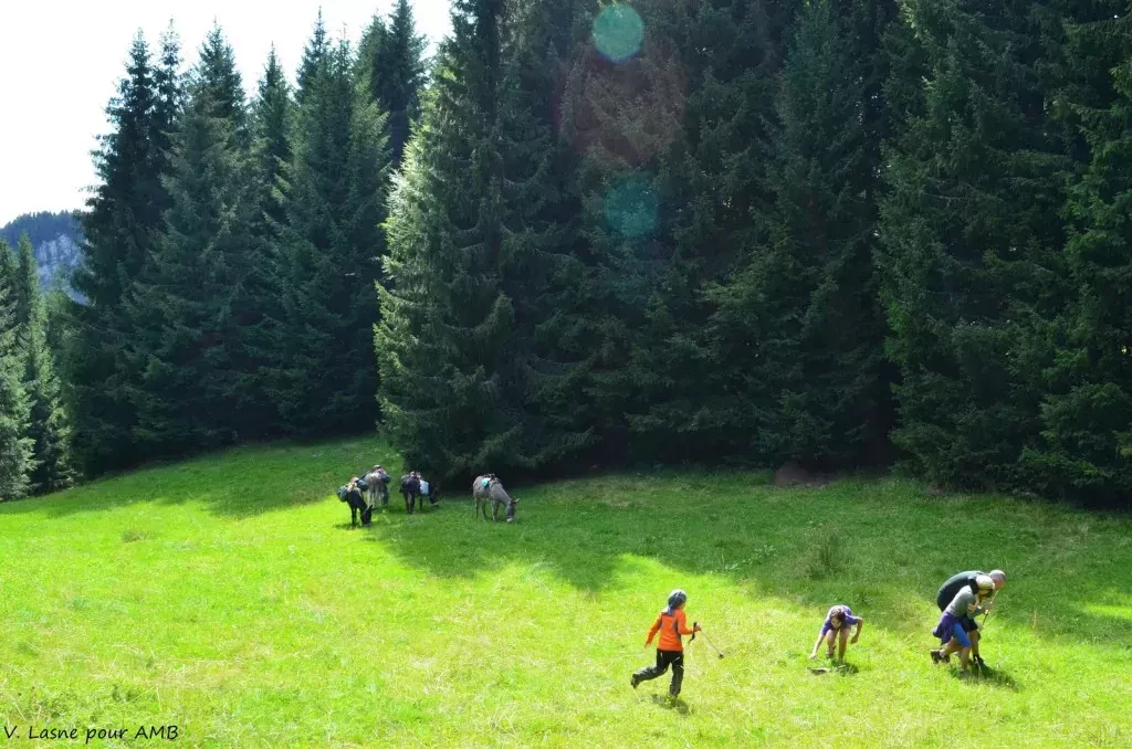 media-libraryaaiu1jgdej4v65pNJ1E