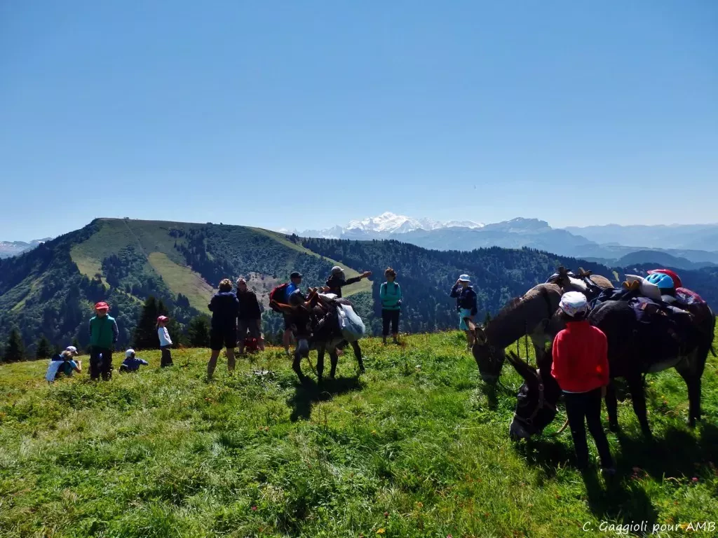 media-librarytrabpfnjjnj96TzxlJF