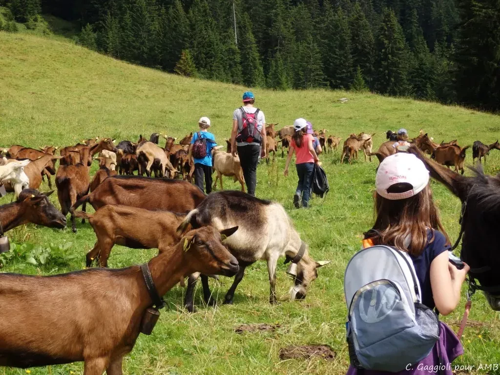 media-library8m9r5pb1cgcf72eiTHD