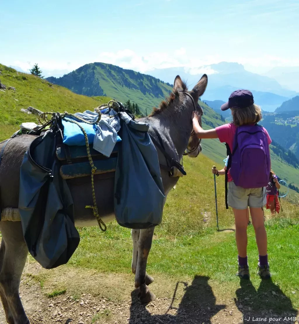 media-libraryepfam7uri4r53H66DFC