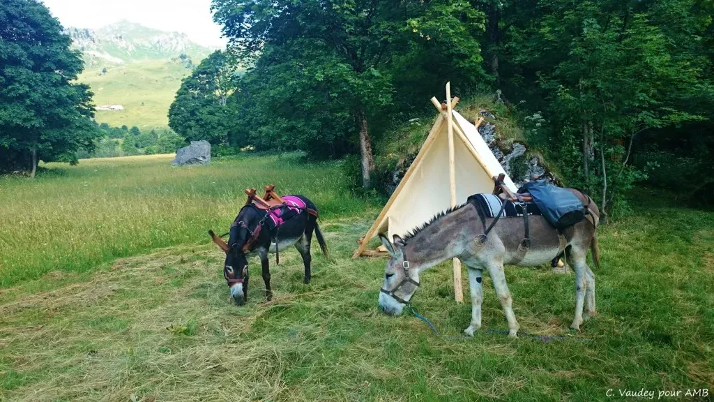 media-libraryv17hrh29qnvp6ctFAhF