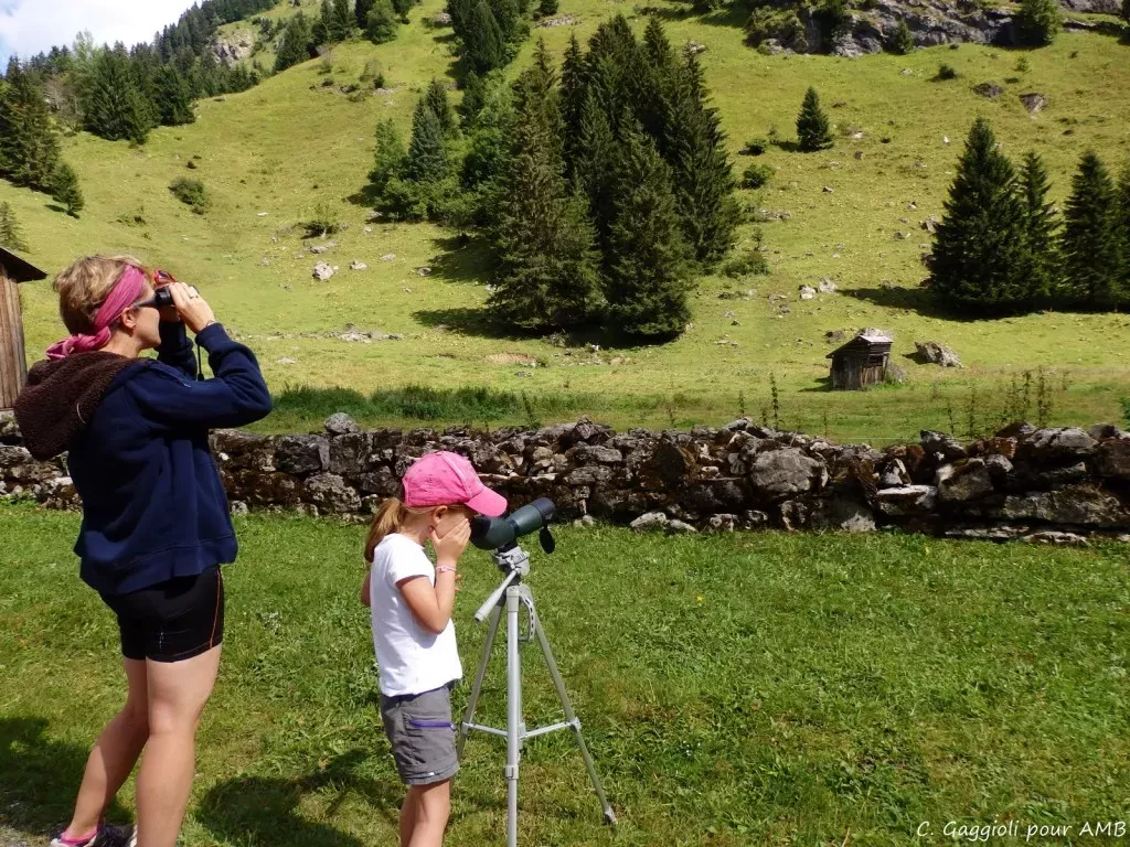 media-libraryp0jf88tku2cq2sAXhdD