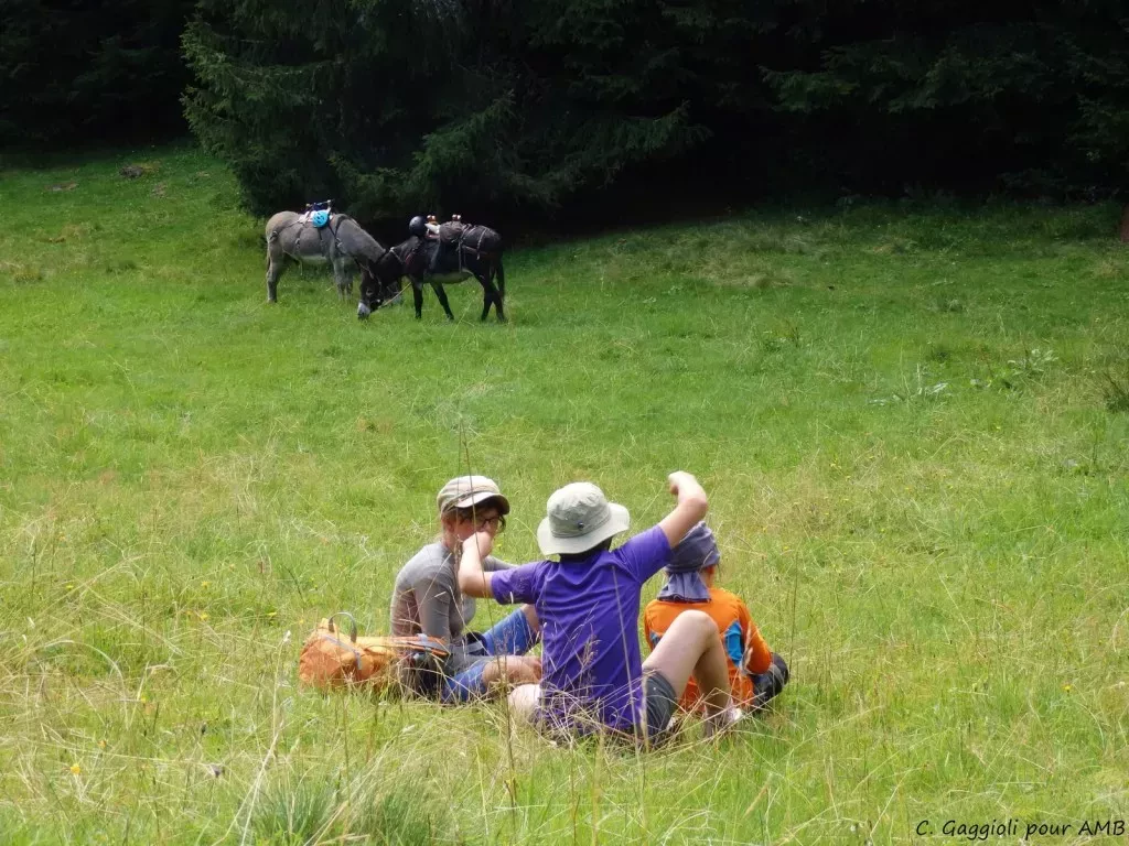 media-libraryijj4gvh72m6l6GqVg9E