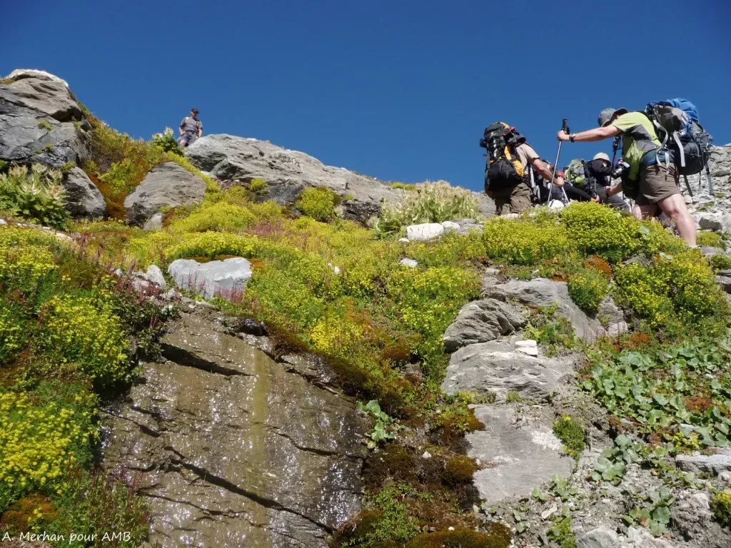 media-libraryj5hb6l9lv96e51vrBAC