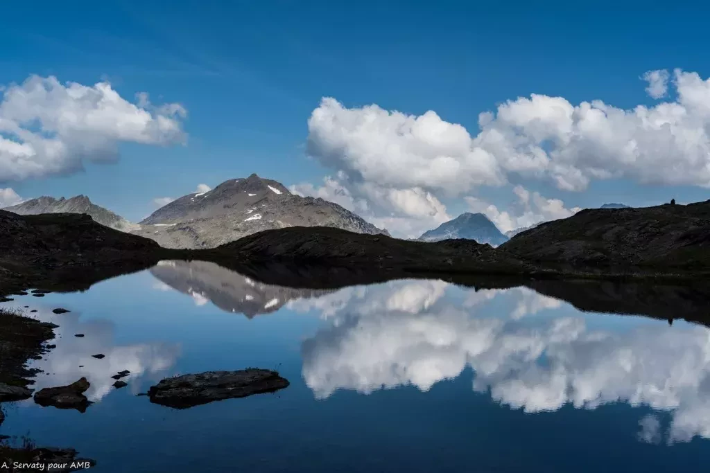 media-libraryqlsair4sd2r8aKWhXZF