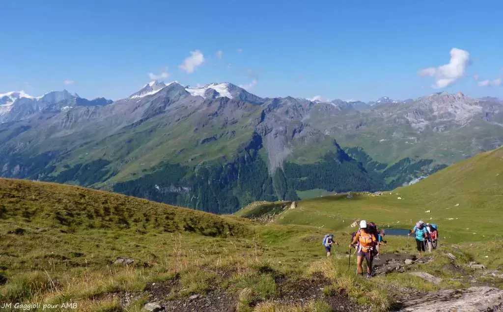 media-library50urcere4vgvbVqOWjC