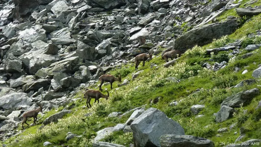 media-library321uc32qi0qhcQYvwuF