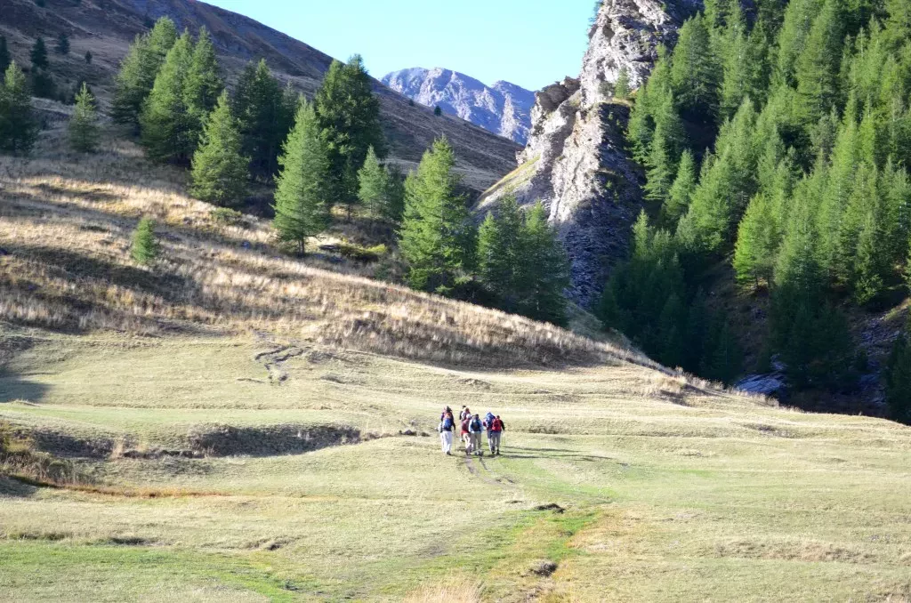 media-libraryc35d5loivjk3auUmlnD