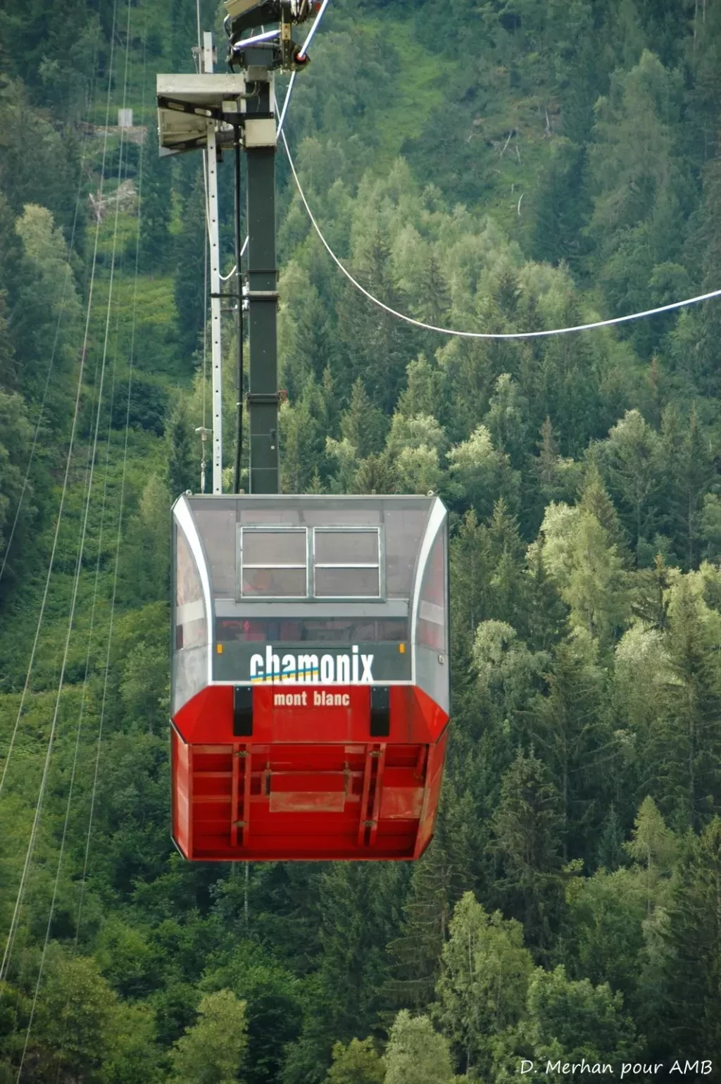 media-library9svj2ugva183efmEJoB