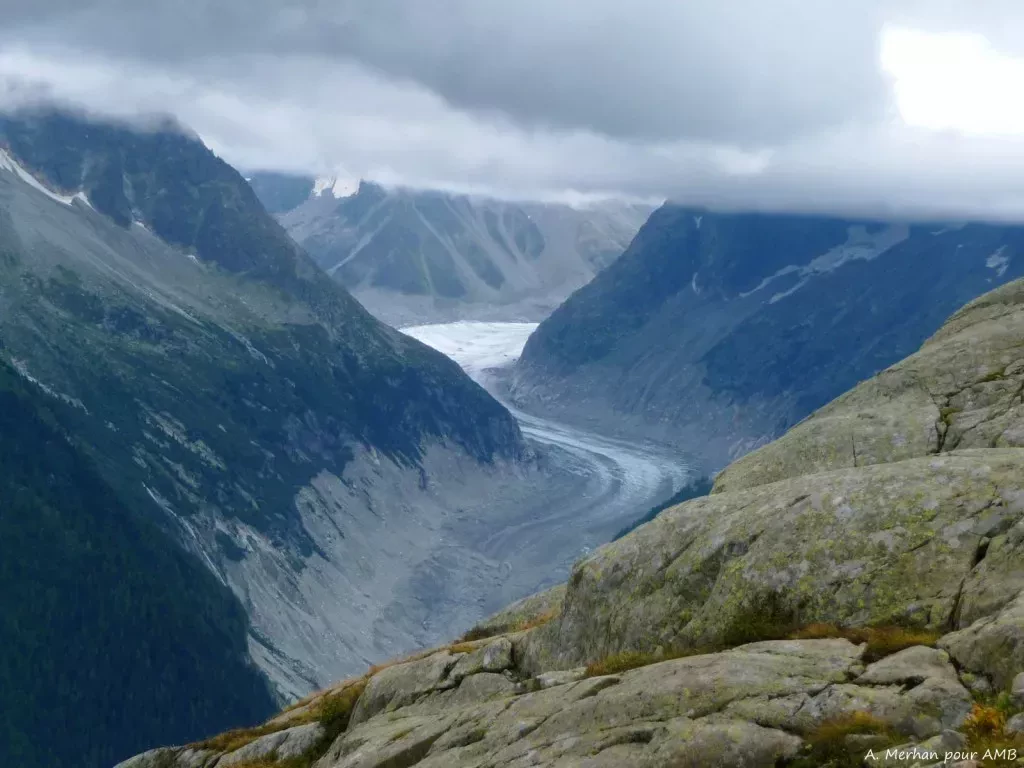 media-library36fe8oks0ma3bPRSgZE