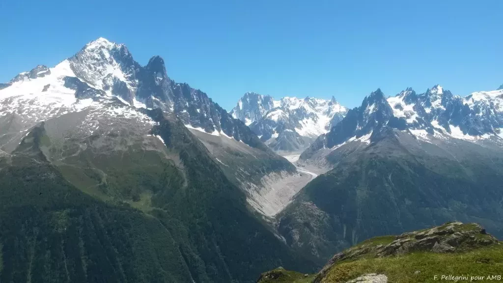 media-libraryoruuuugu7h2h3SOC9DF