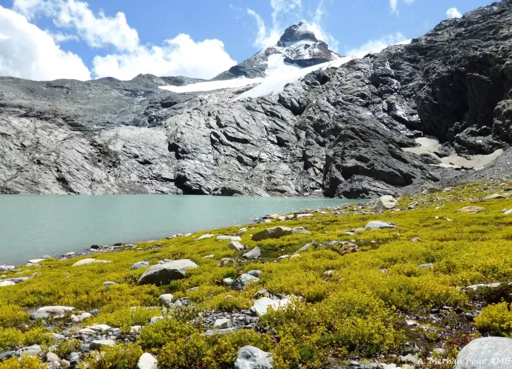 media-libraryopvcd9opc1mk56EhE8E