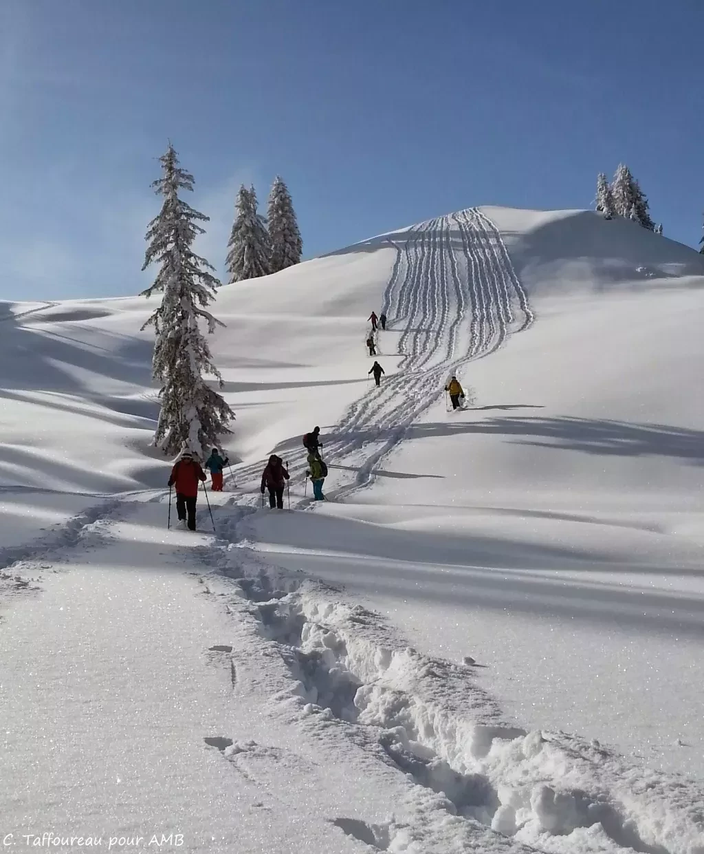 media-library1fm2ev9k9eou1lItsvE