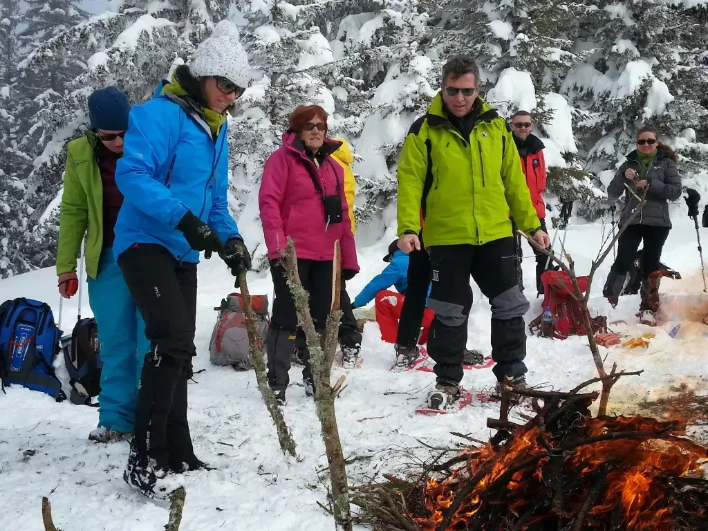 media-library41lb3pf0k2ob6M9qrtE