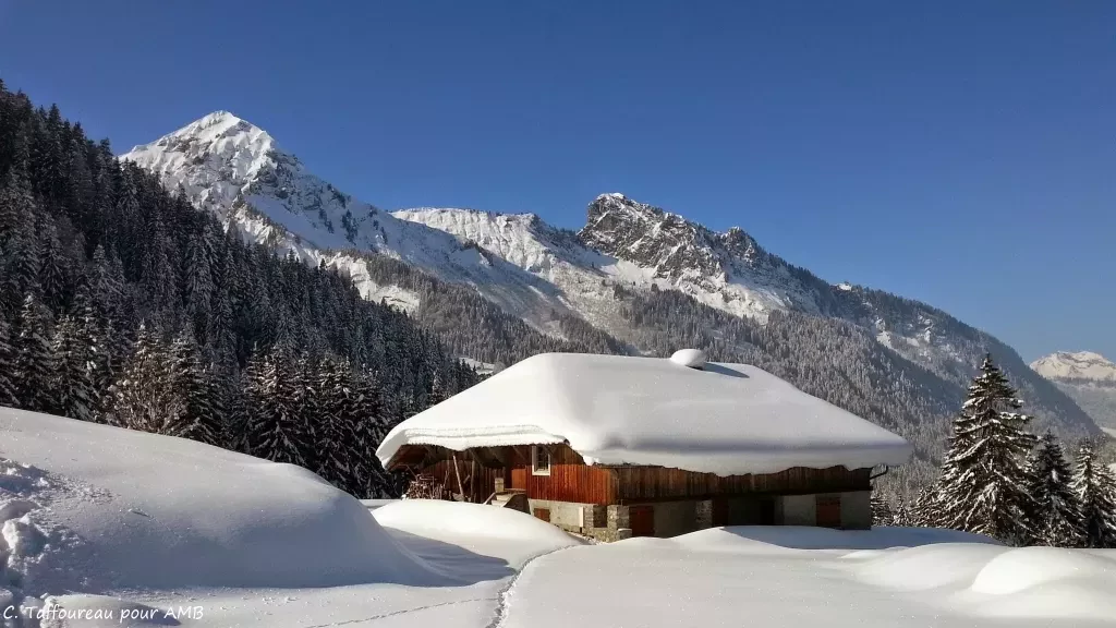 media-libraryfoh5gg6vp2gceKhHmfD