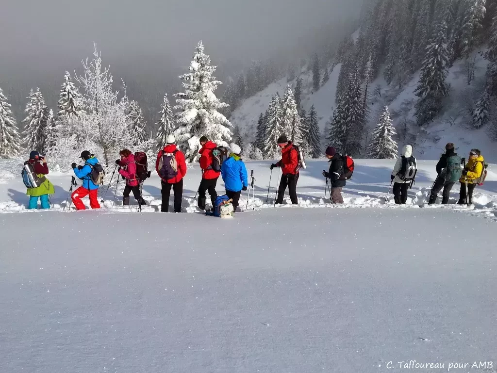 media-libraryooff1g3cpmo60gtJGwF