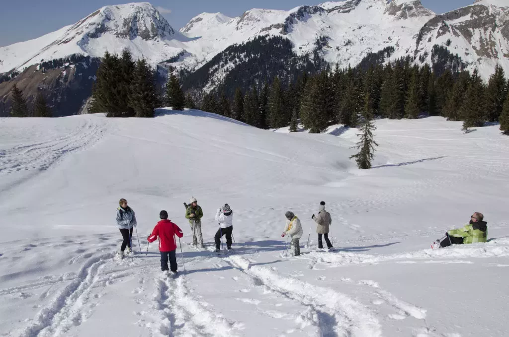 media-librarylkn36f3hm64f8APh6QF