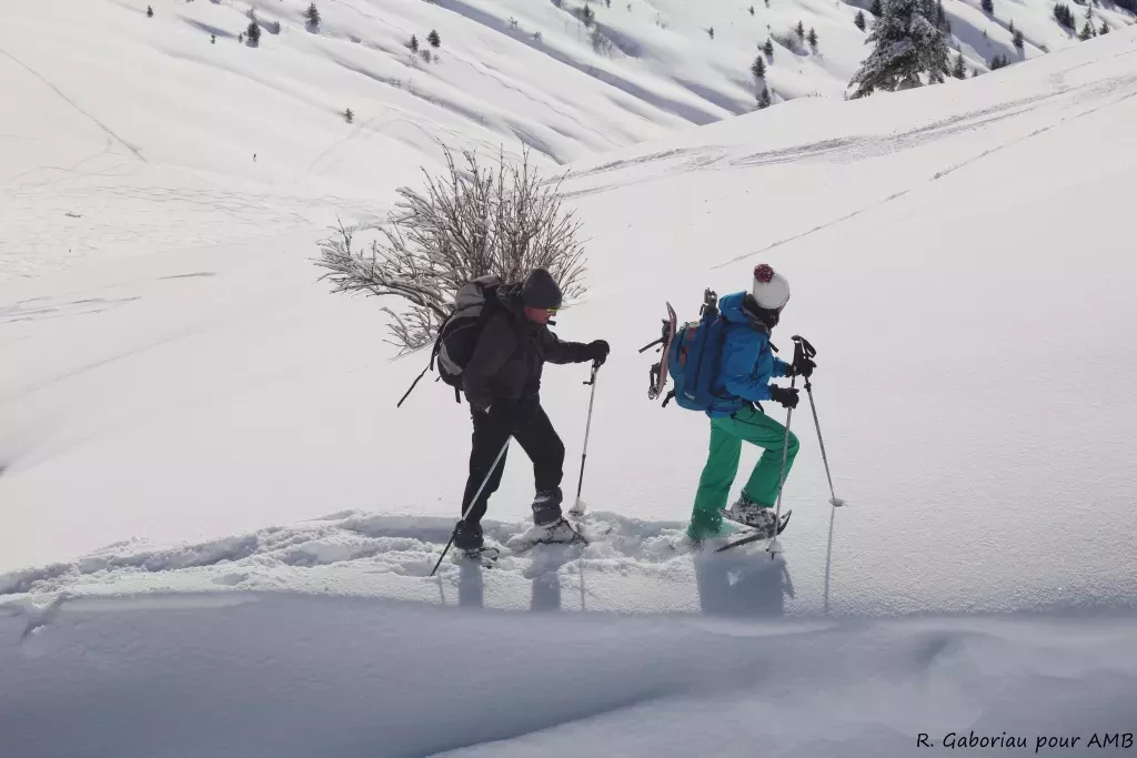 media-libraryn8le6kifcd5p82lpdtF