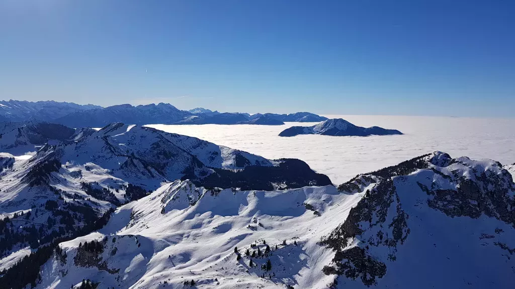 media-libraryc3p3eg3qpfloe6PS2HC