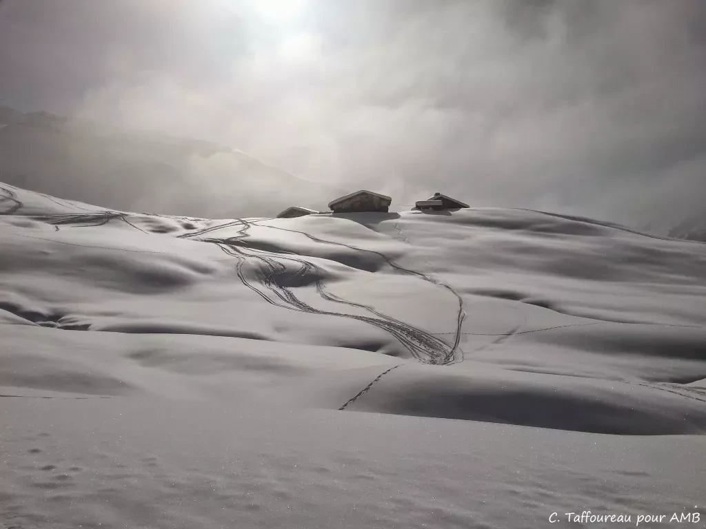 media-libraryiojt2jc8iuoe4ZbBi0F