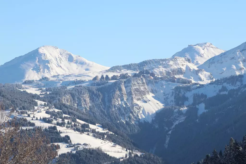 media-libraryakv89mkqf0j7bU83fkE