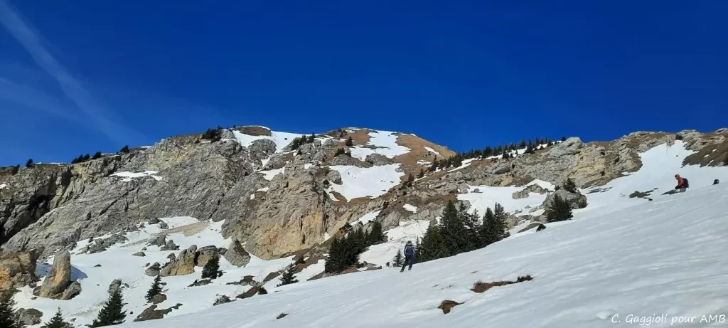 media-libraryd8b9n08qbhc5cifqv1E