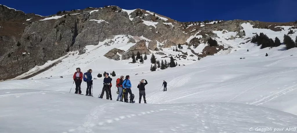 media-library87rki1gpnaoh1gHw3mE