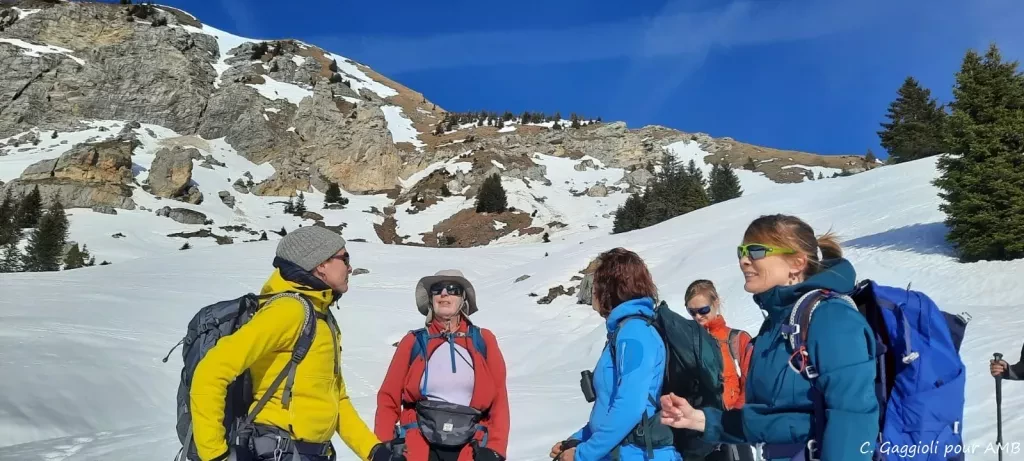 media-libraryb9d5ec6j7ufjce0gslF