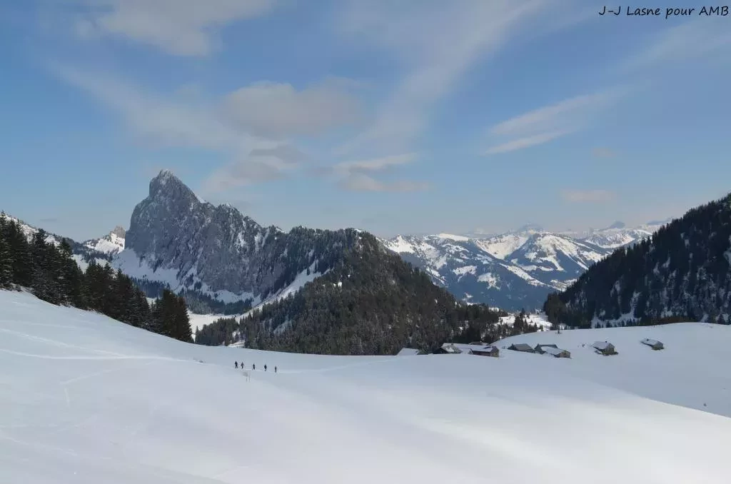 media-libraryvm3dce43n9bcfonbgXD