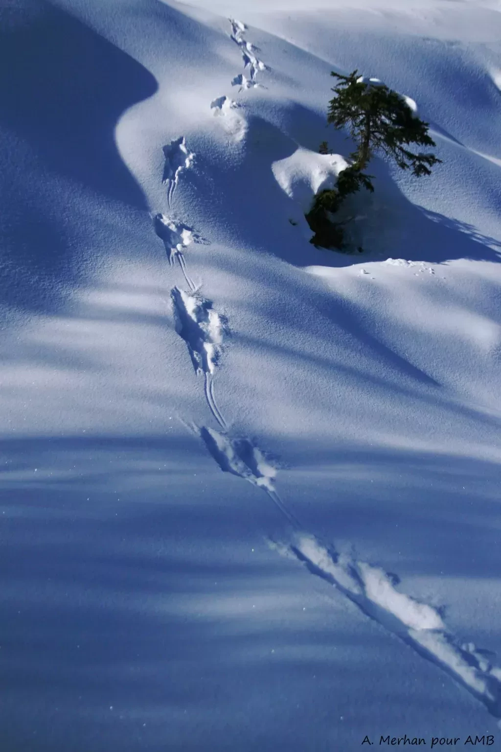 media-libraryqppmp8i87ntde7JF0lF