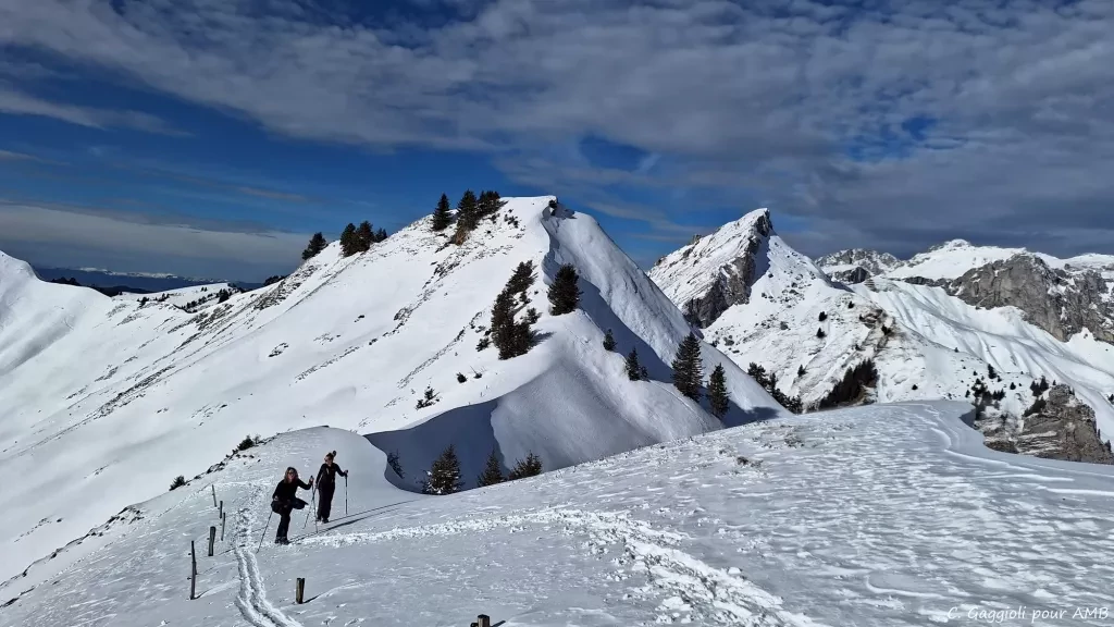 media-library1v36egpqrvp191AGBEE